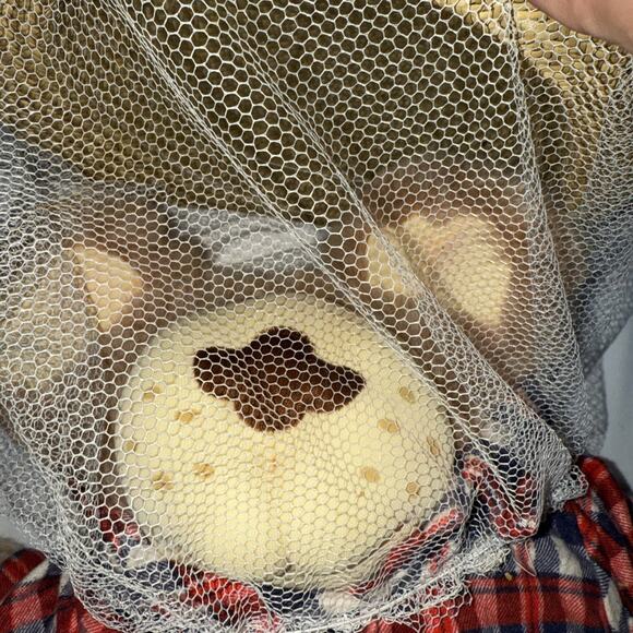 Vintage Furskins Boone Plush Bear Bee Keeper Xavier Roberts 22” 🔥🔥 - Picture 2 of 6